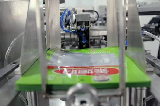 Máquina de Envasado al Vacío Automática