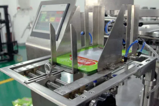 Máquina de Envasado al Vacío Automática