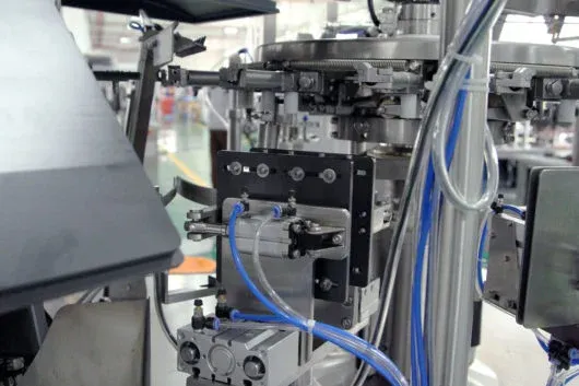 Máquina de Envasado al Vacío Automática