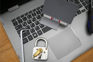 Privacy Policy link