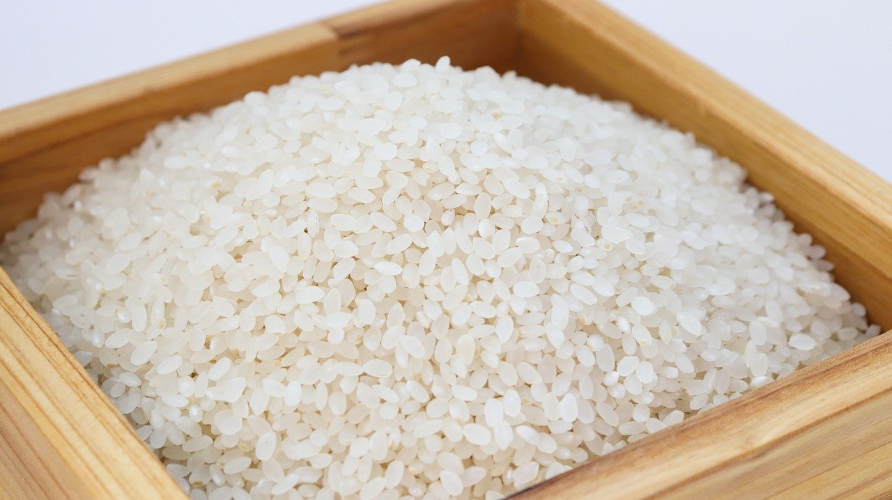 Should You Use Rice Vacuum Packaging? Advantage & Deficiency ECHO